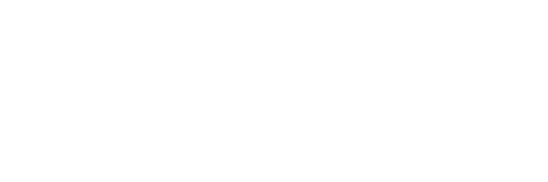 Shore Consulting Logo